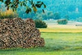 Heap of neatly stacked chopped firewood stands in the farm\'s backyard, poised for the approaching winter heating season