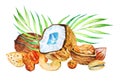 Heap of nuts and leaves. Coconut, walnut, almond, hazelnut, cashew. Hand drawn watercolor illustration