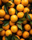 A Heap of Oranges With Green Leaves Royalty Free Stock Photo