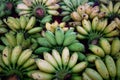 heap of organic cluster of bananas type of tropical fresh fruits