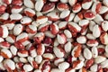 Heap ot white and red legumes beans close-up