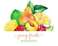 Heap ow hand drawn watercolor fruits, banner template