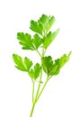 Heap of the parsley