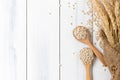 Heap of pearl barley on wood spoon with ear of barley Royalty Free Stock Photo