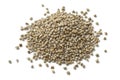 Heap of pearl millet Royalty Free Stock Photo