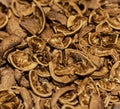 Heap of peeled walnut nutshell Royalty Free Stock Photo