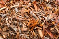 A heap of pieces of bark of alder