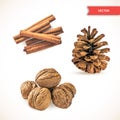 Heap or pile of dry cinnamon bark or chopsticks, walnuts and pine cone isolated on white background. Set of Decor Objects for New