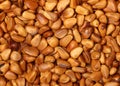 Heap of pine nut close up Royalty Free Stock Photo