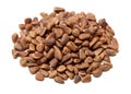 Heap of pine nut close up Royalty Free Stock Photo