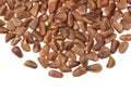 Heap of pine nut close up Royalty Free Stock Photo