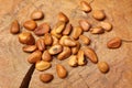 Heap of pine nut close up Royalty Free Stock Photo