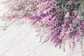 Heap of pink heather flower calluna vulgaris, erica, ling on white rustic table. Greeting card for mother or woman day.