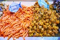 Shrimps and sea snails, Abastos Market, Jerez, Spain Royalty Free Stock Photo