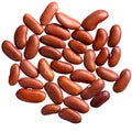 A heap of quality seeds of brown beans, for your adorable garden.