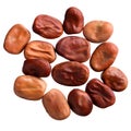 A heap of quality seeds of brown beans, for your unique garden.