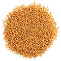 A heap of quality seeds of brown mustard, for your unique garden.