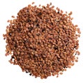 A heap of quality seeds of iberis, flower for your adorable garden.