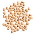 A heap of quality seeds of soy bean, legumes for your unique garden.
