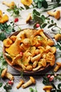 Heap of raw chanterelle mushrooms cantharellus cibarius in plate with forest plants and moss on vintage wooden background.