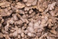 Heap of raw ginger roots in a market of bangladesh. Zingiber officinale.It is widely used as a spice and a folk medicine Royalty Free Stock Photo
