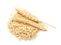 Heap of raw oatmeal and spikelets on white background Royalty Free Stock Photo