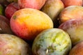 Heap of raw ripe fresh mangoes fruit Royalty Free Stock Photo