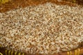 heap of red ant eggs Royalty Free Stock Photo