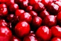 Heap of red cherry fruits with water drops on it - cherries background Royalty Free Stock Photo