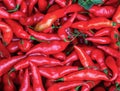 A heap of red chili peppers Royalty Free Stock Photo