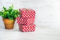 A heap of red dotted gift boxes and a green flower in a rustic ceramic pot. White wooden background, copy space. Royalty Free Stock Photo
