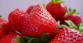 Heap of Red Fresh Delicious Strawberries Royalty Free Stock Photo