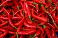 Heap of red chili peppers Royalty Free Stock Photo