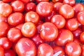 Heap of red tomatoes in food crate at farmer market in Washington, USA Royalty Free Stock Photo