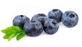 Heap of ripe Blueberries with leaf isolated on white background Royalty Free Stock Photo