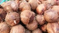 A heap of ripe coconuts stacked together Royalty Free Stock Photo