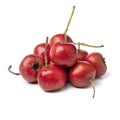 Heap of ripe fresh red hawthorne berries close up on white background Royalty Free Stock Photo