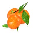 Heap of ripe mandarins with leaves isolated on white Royalty Free Stock Photo