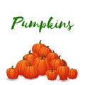 Heap of ripe orange pumpkins with green stems isolated on white