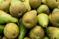 Heap of Ripe Organic Green and Brown Conference Pears at Farmers Market. Bright Vibrant Vivid Colors. Vitamins Superfoods Healthy Royalty Free Stock Photo