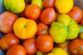 Heap of Ripe Organic Multicolored Tomatoes at Farmers Market. Bright Vibrant Colors. Vitamins Super foods Healthy