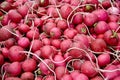 Heap Of Ripe Radish /Turnips At A Street Market Royalty Free Stock Photo