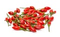 Heap of Ripe Red Peppers Piri-Piri Royalty Free Stock Photo