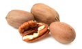 Ripe shelled pecan nuts. Royalty Free Stock Photo