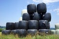 Heap of rolls Royalty Free Stock Photo
