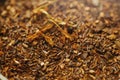 Heap of rooibos or redbush herbal tea Royalty Free Stock Photo