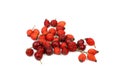 Heap of rosehips isolated on white background Royalty Free Stock Photo