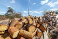 Heap of round pine logs