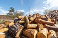 Heap of round pine logs