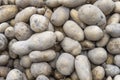 heap of salad potatoes at street market, Stuttgart, Germany